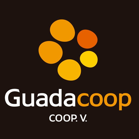 Diseño de identidad corporativa